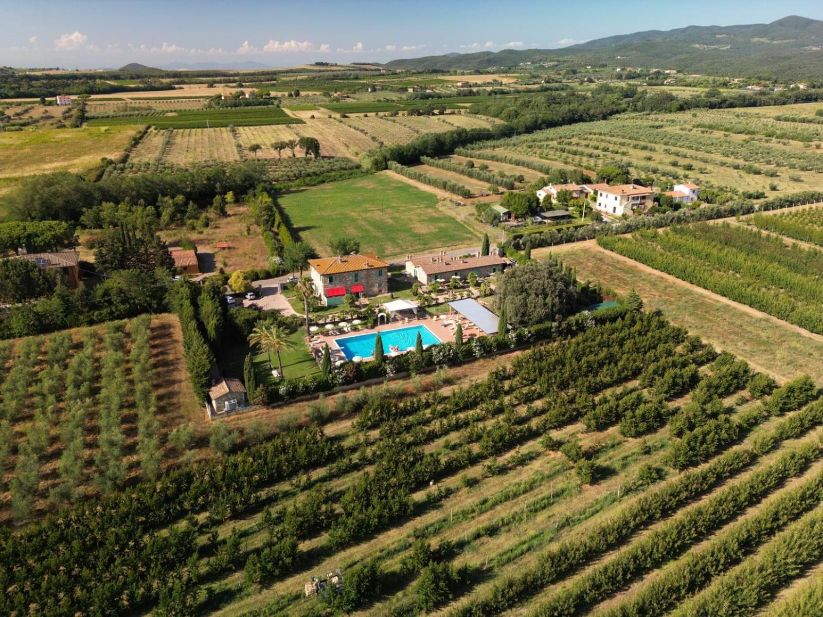 Podere Gli Olmi Cecina  Buitenkant foto